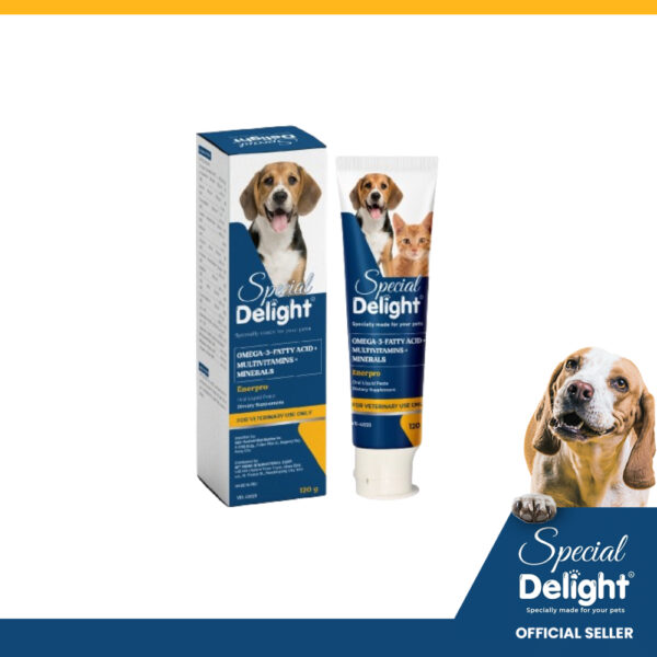 Special Delight Enerpro Omega 3 + Multivitamins And Minerals Paste Dietary Supplement 120g/Tube