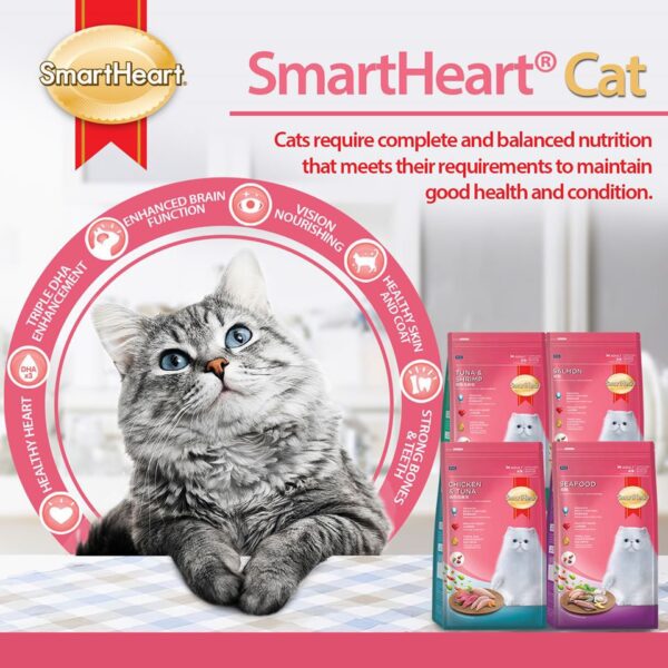 SmartHeart Dry Cat Food for Kitten Chicken, Fish, Egg & Milk 1.1kg - Image 3