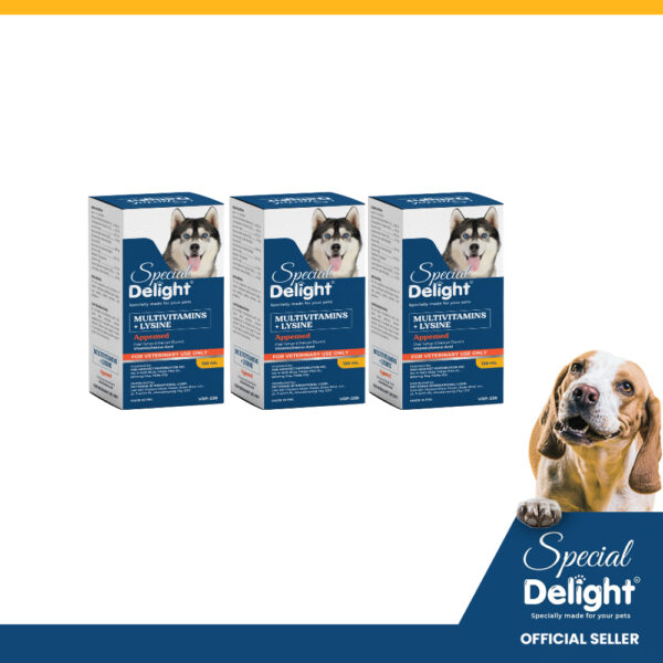 SET OF 3’S Special Delight APPEMED Multivitamins + Lysine Oral Syrup Orange Flavor 120mL